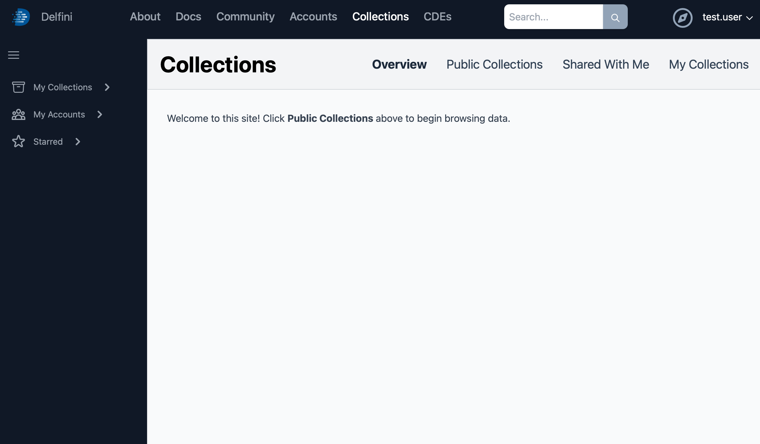 Delfini Collections