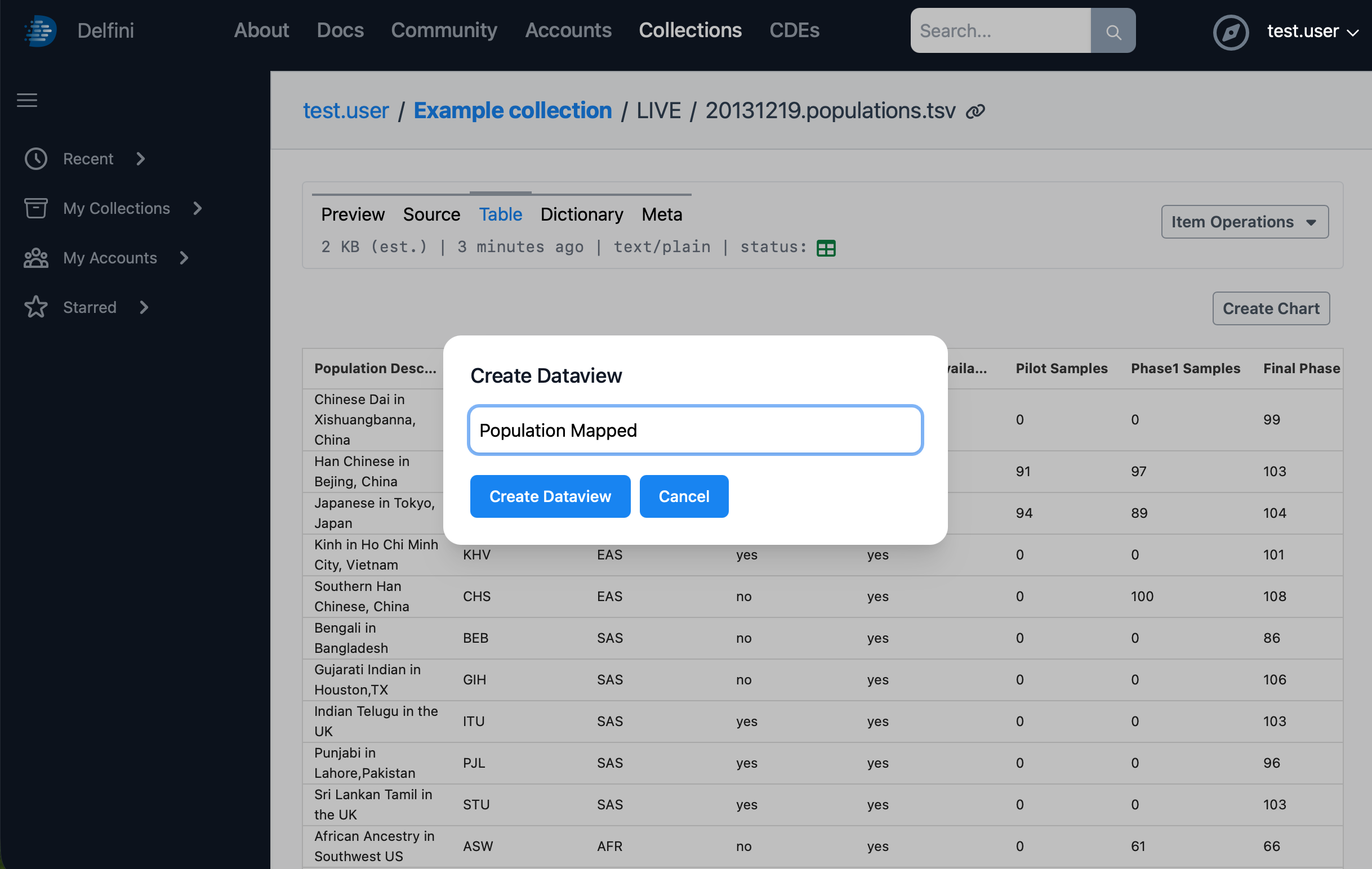 Give the new dataview a name